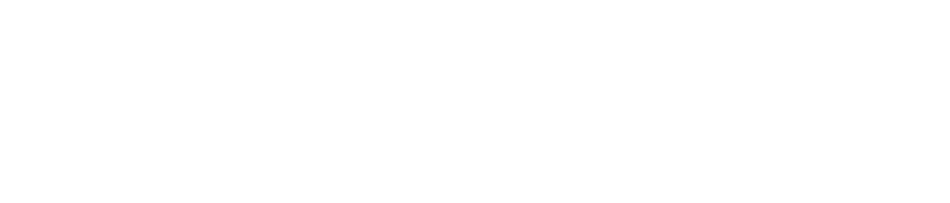 TruePath Vision